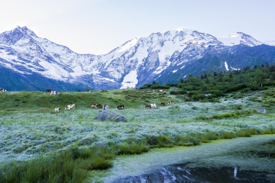 Trail sous sous le Miage, Les Contamines Mont-Blanc