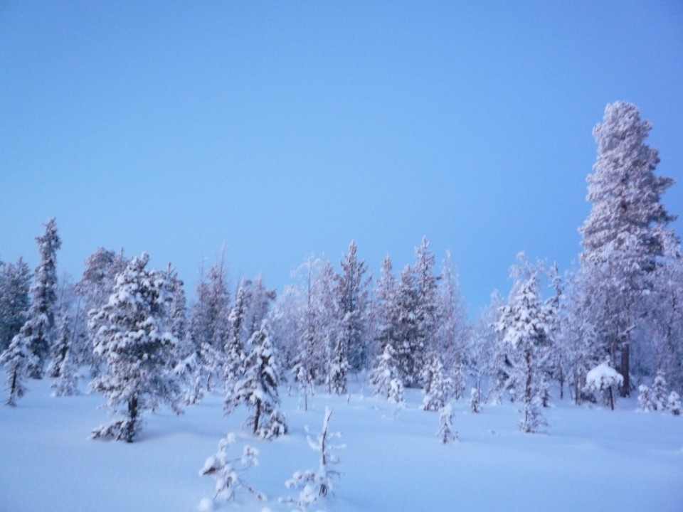 Laponie, Suède, Junosuando
