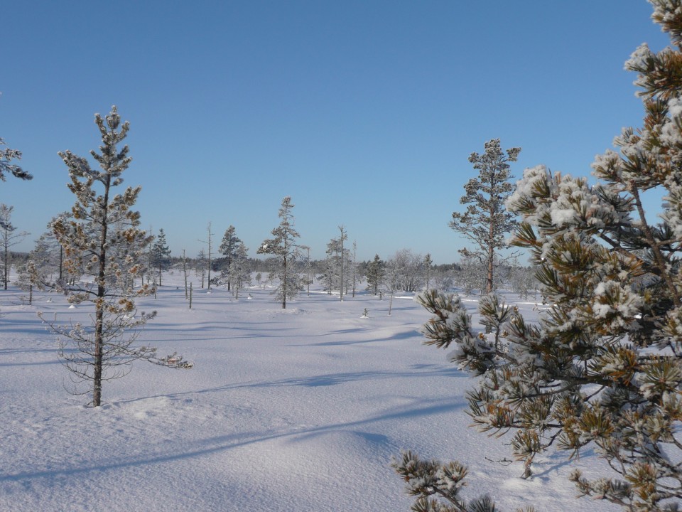 Laponie, Suède, Junosuando