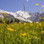 alpes_saint-gervais_mont-blanc_2_118