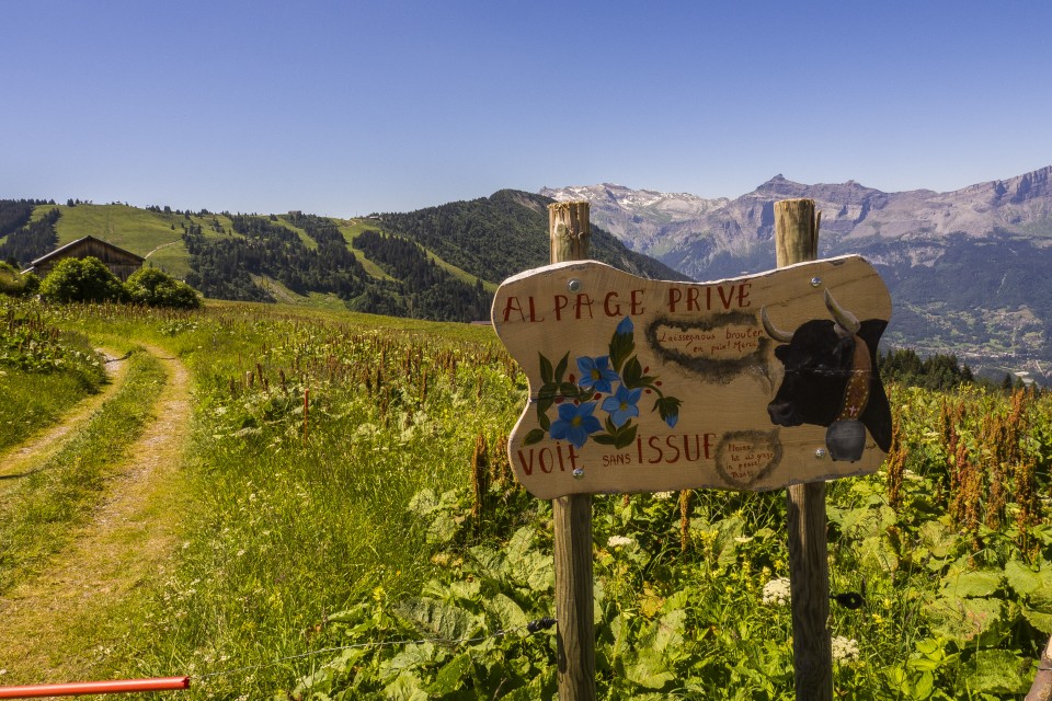 alpes_saint-gervais_mont-blanc_2_187