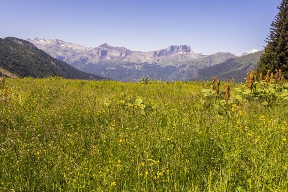 alpes_saint-gervais_mont-blanc_2_190