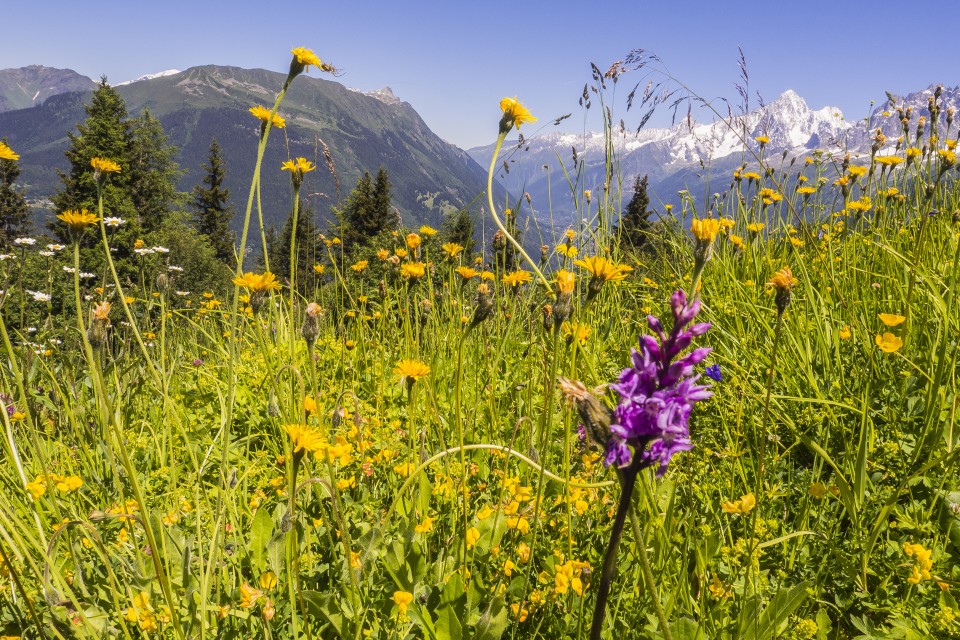 alpes_saint-gervais_mont-blanc_2_84