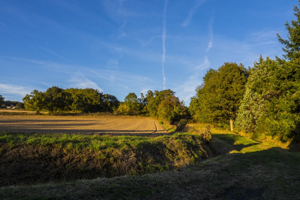 berry_automne_rando_outdoor__30