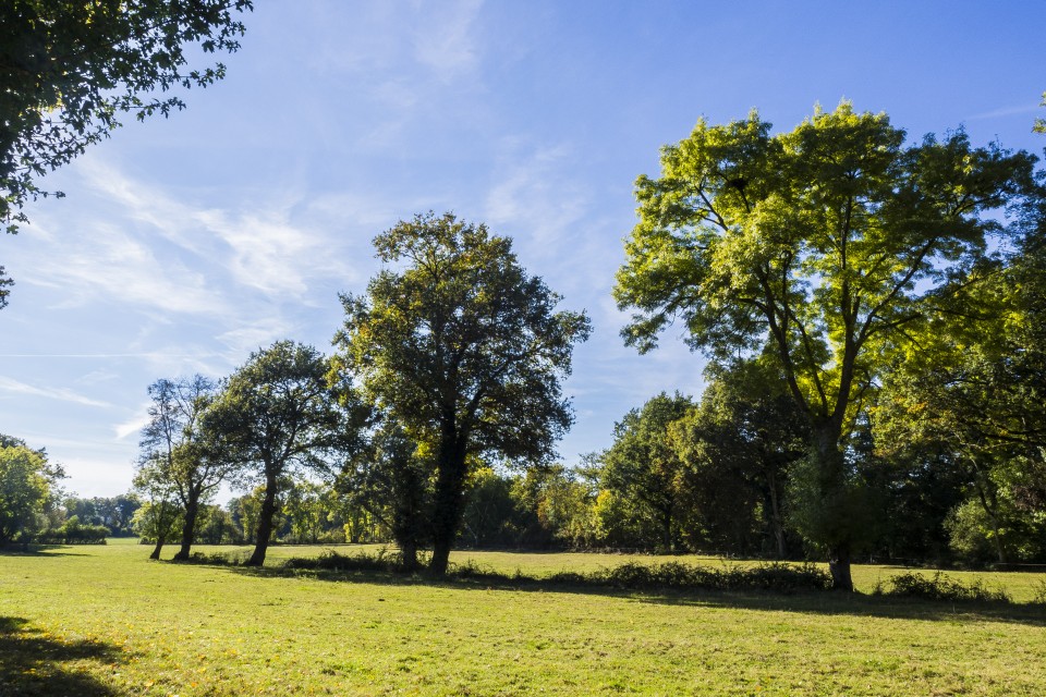 berry_automne_rando_outdoor__35