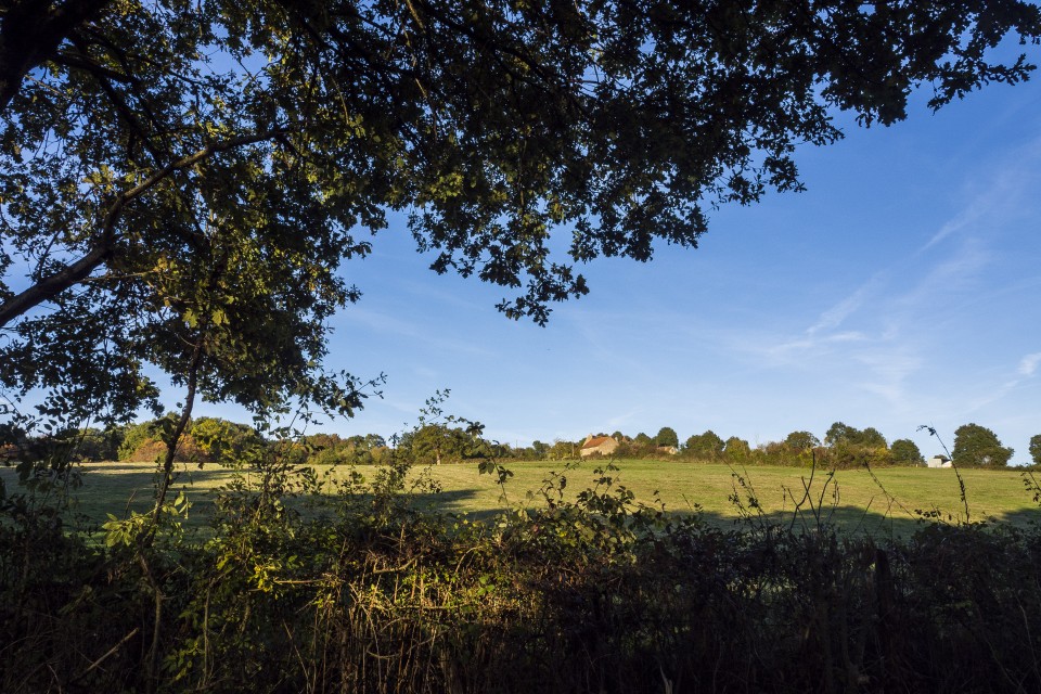 berry_automne_rando_outdoor__5