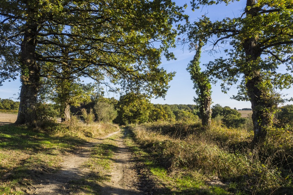 berry_automne_rando_outdoor__51