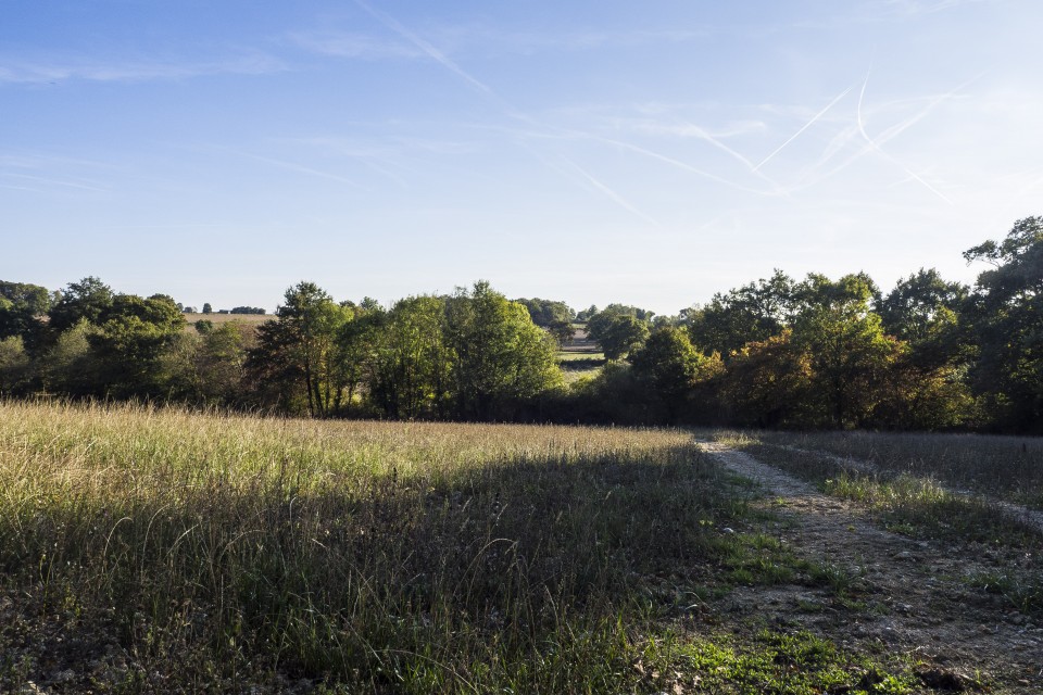 berry_automne_rando_outdoor__56