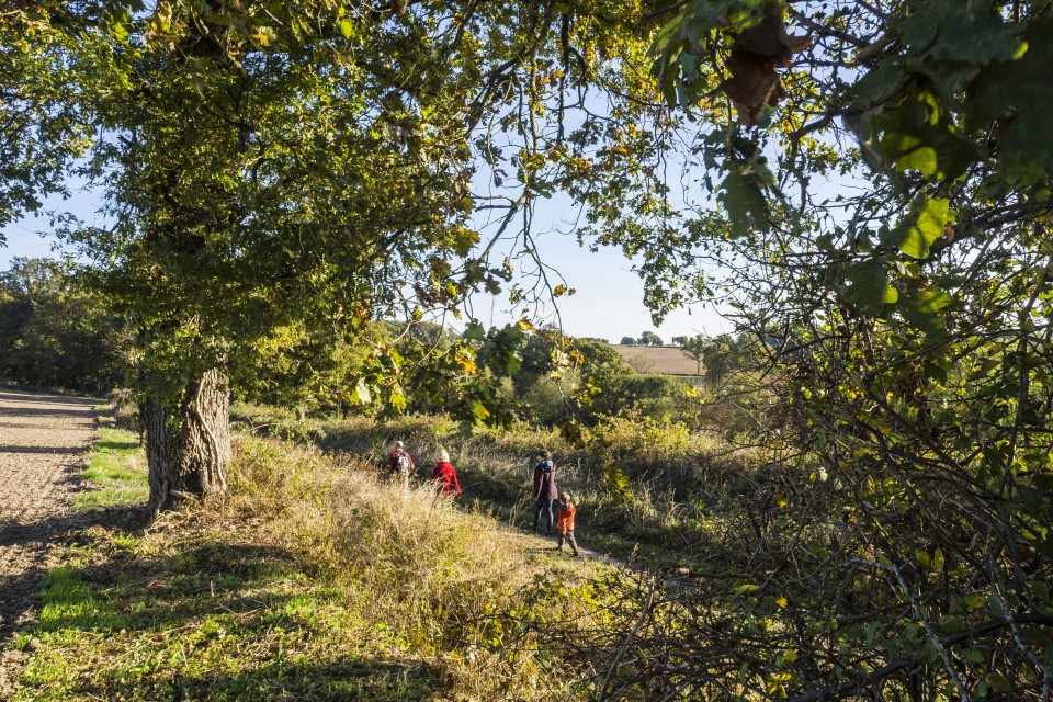 berry_automne_rando_outdoor__57