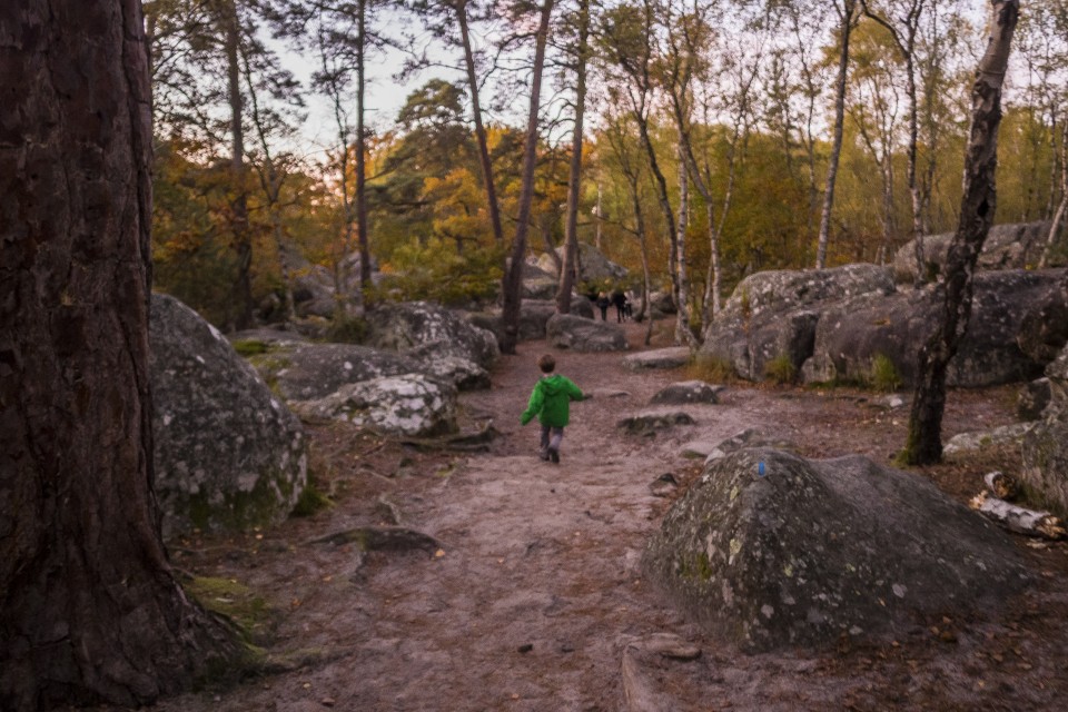 foret_fontainebleau_automne_octobre_104