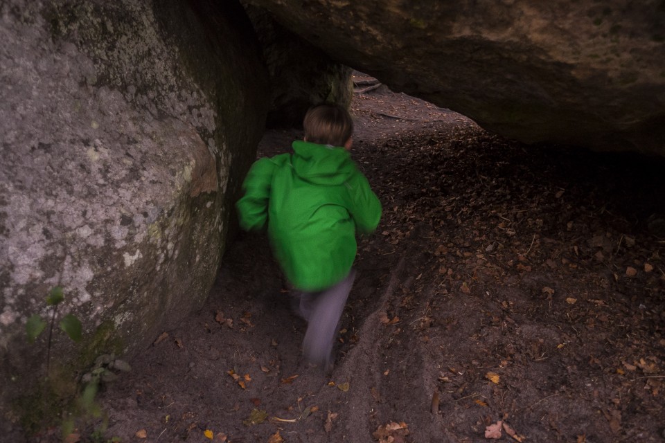 foret_fontainebleau_automne_octobre_106