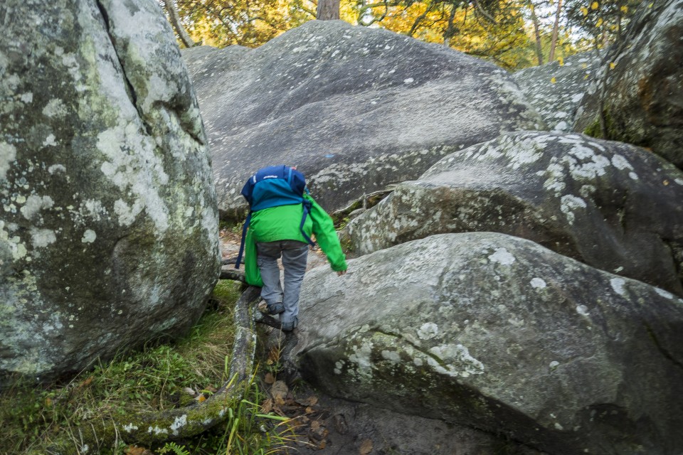 foret_fontainebleau_automne_octobre_11