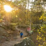 foret_fontainebleau_automne_octobre_21