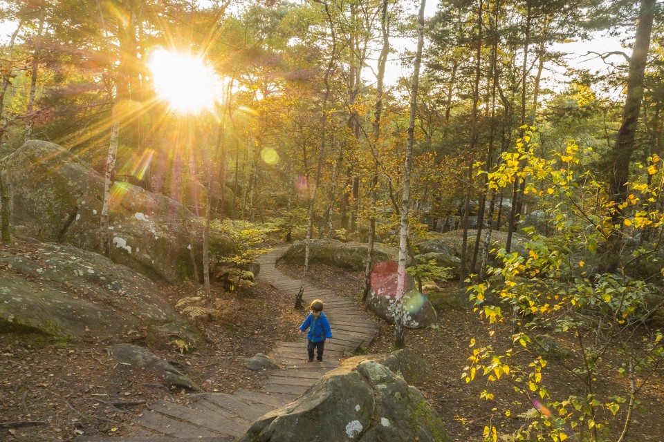 foret_fontainebleau_automne_octobre_21