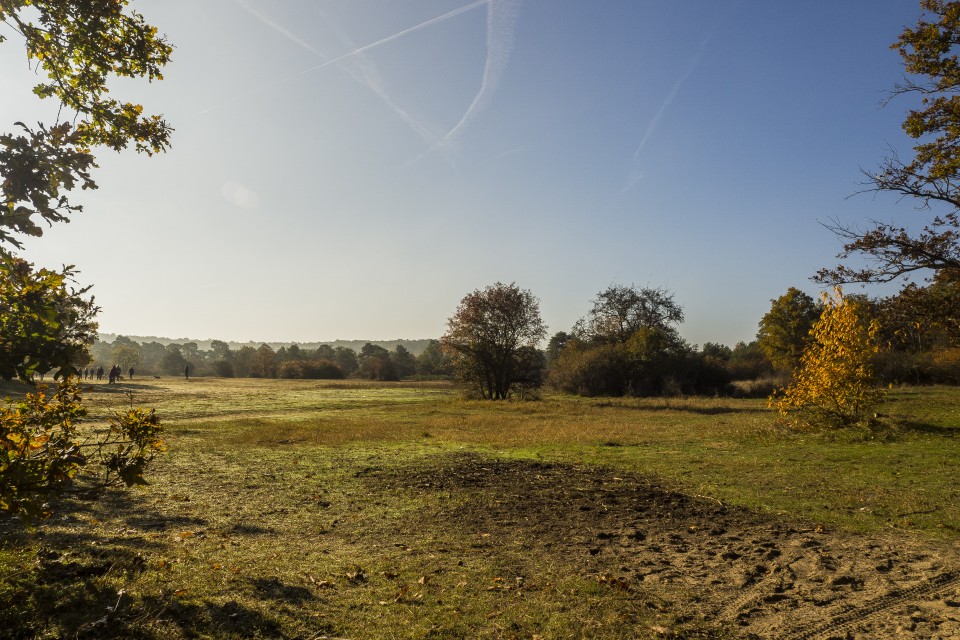 foret_fontainebleau_automne_octobre_24