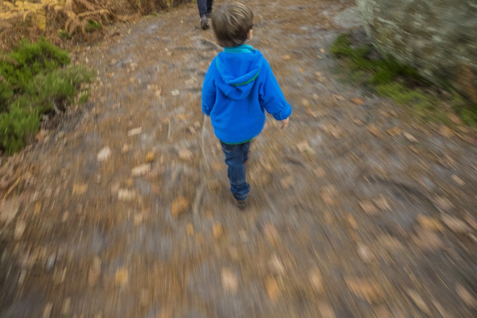 foret_fontainebleau_automne_octobre_26