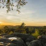 foret_fontainebleau_automne_octobre_33