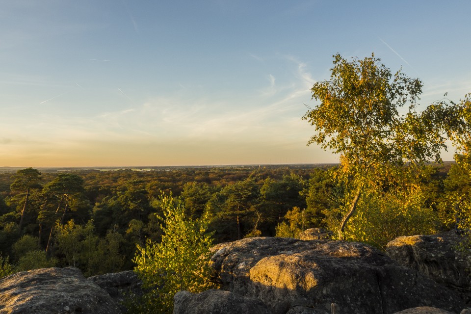 foret_fontainebleau_automne_octobre_37