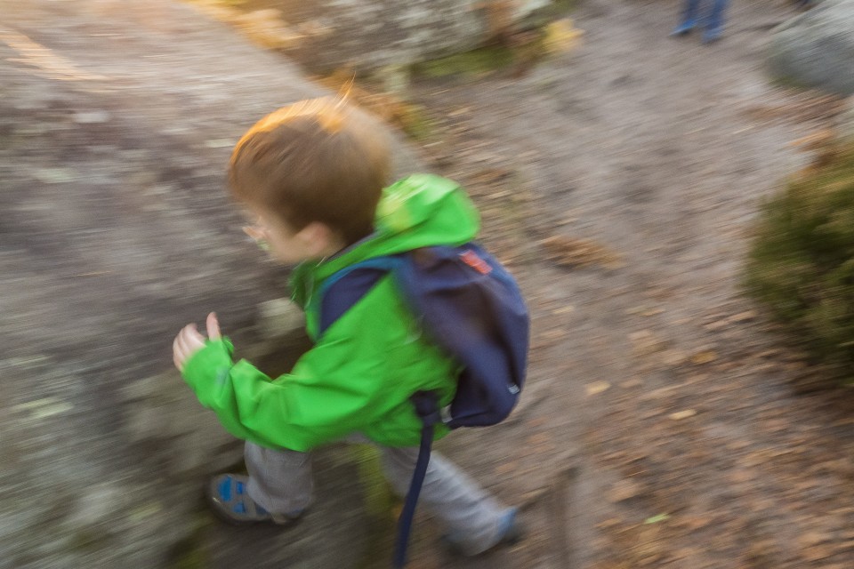 foret_fontainebleau_automne_octobre_53