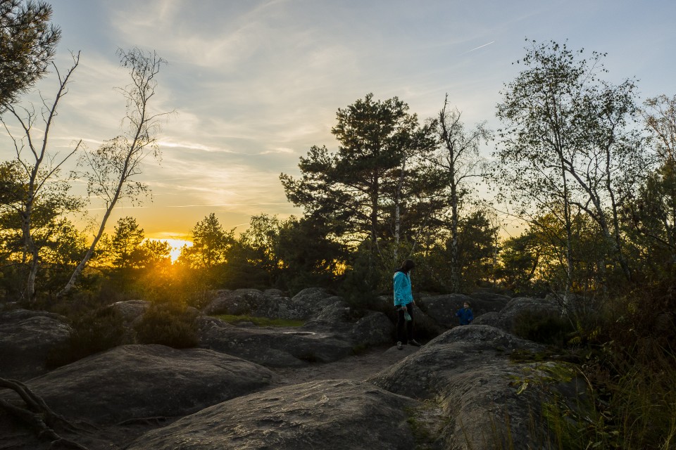 foret_fontainebleau_automne_octobre_62