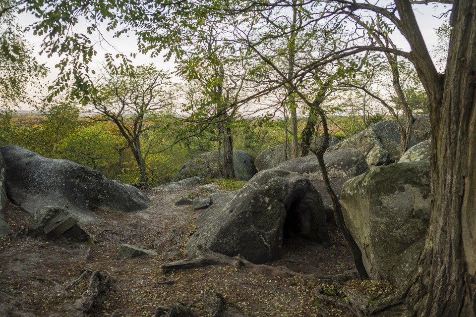 foret_fontainebleau_automne_octobre_65