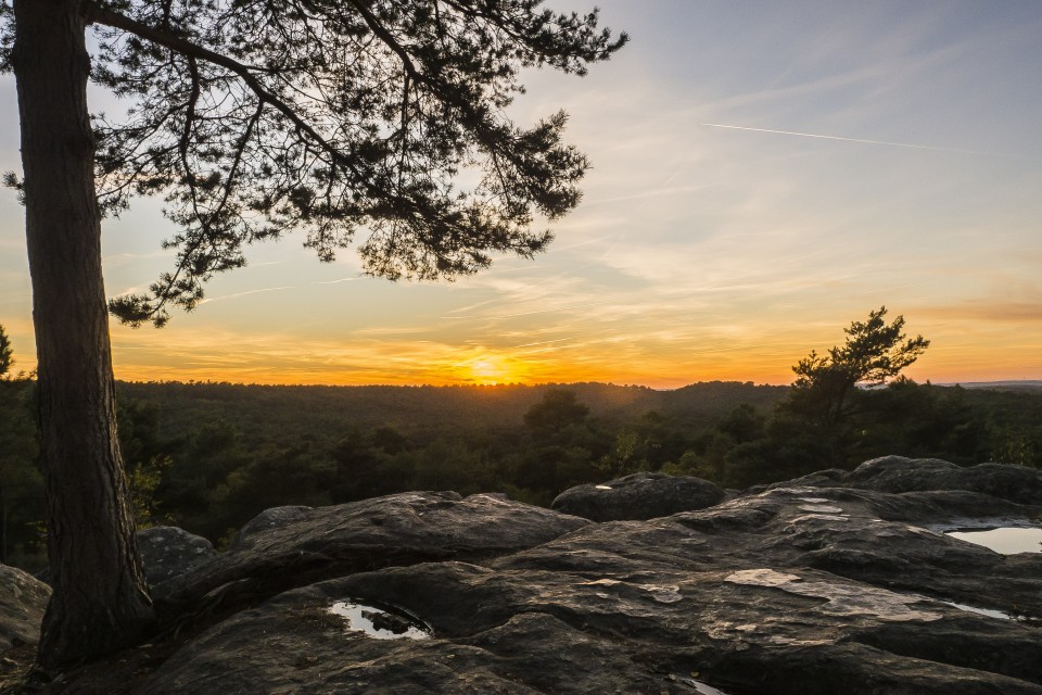 foret_fontainebleau_automne_octobre_78