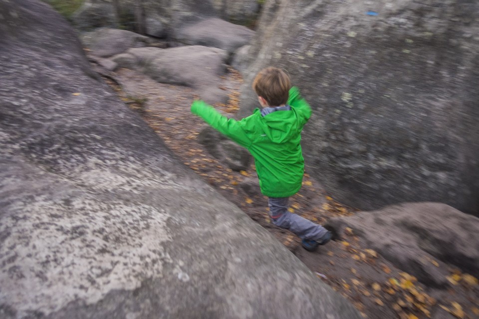 foret_fontainebleau_automne_octobre_88