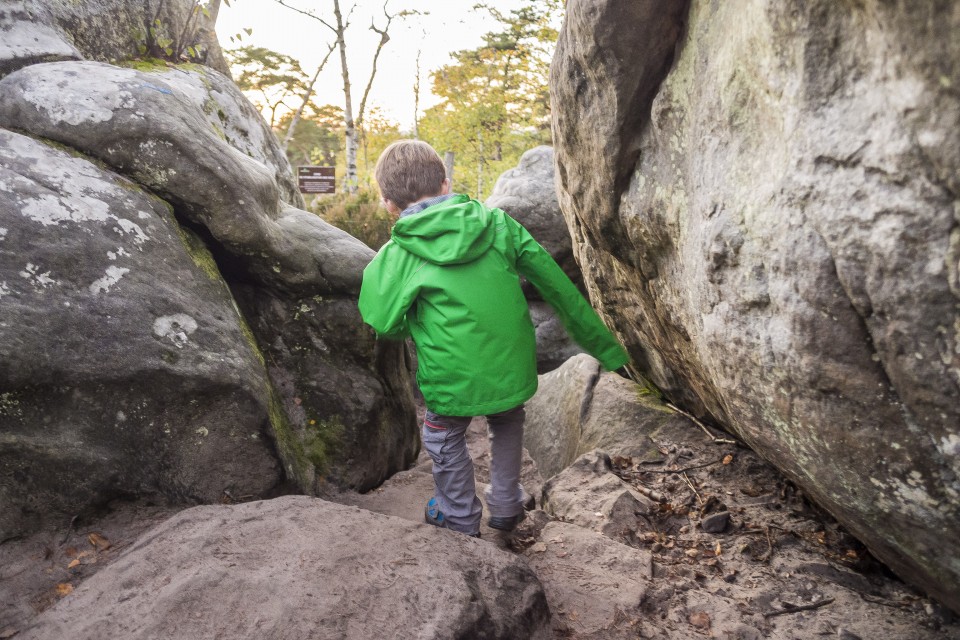 foret_fontainebleau_automne_octobre_92