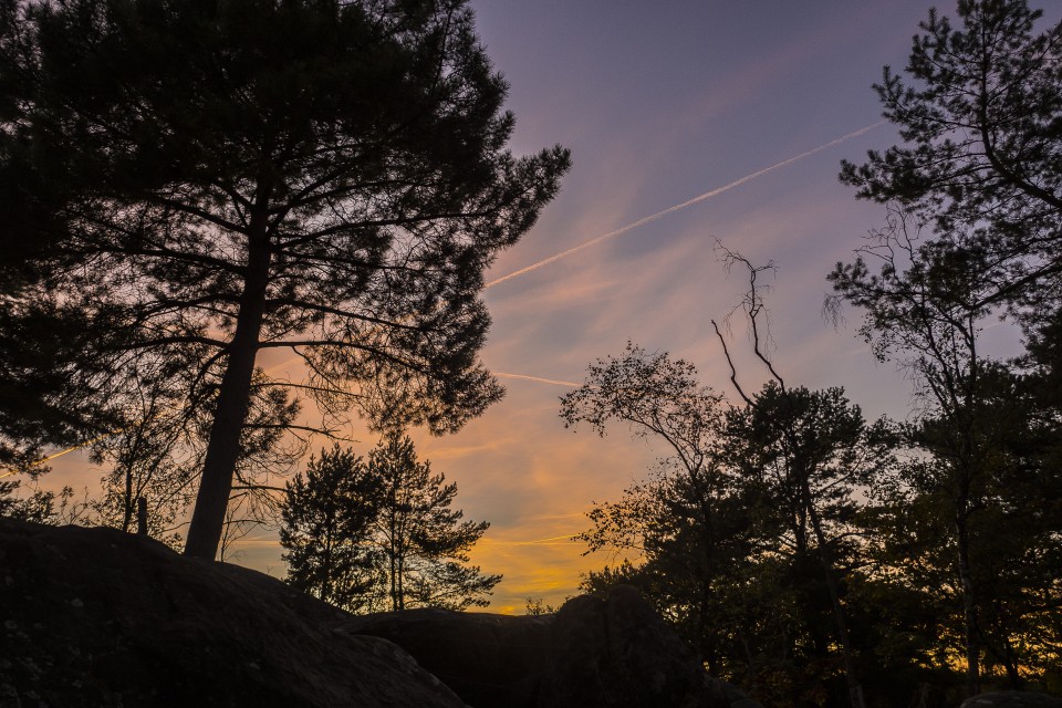 foret_fontainebleau_automne_octobre_98