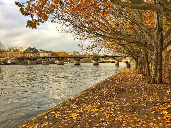 paris-automne