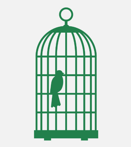 oiseau en cage