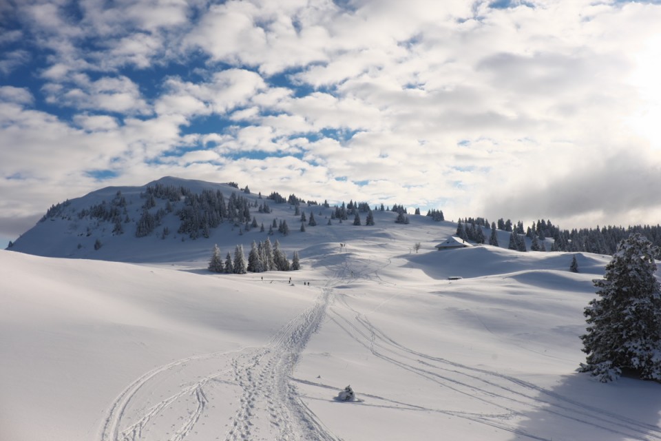 Jura_Lajoux_170210_173