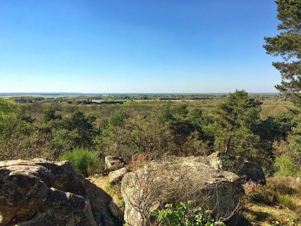 point de vue cuvier foret de fontainebleau