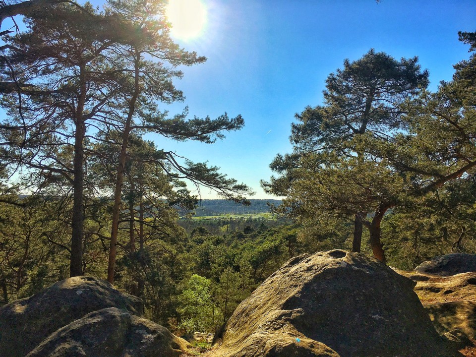 route des points de vue rocher cassepot foret de fontainebleau