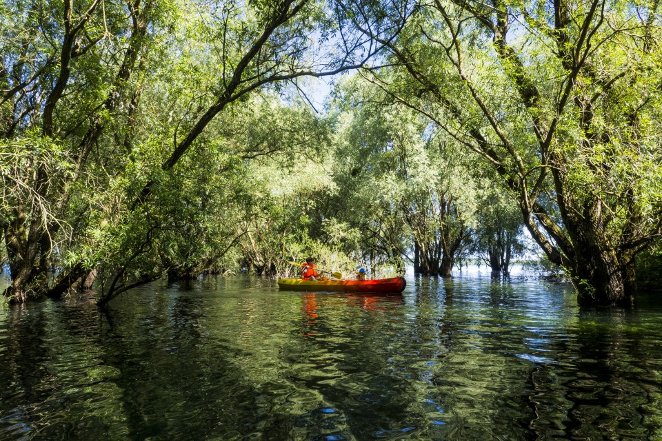 Lac D'orient_Troyes_outdoor