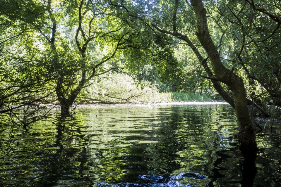 Lac D'orient_Troyes_outdoor