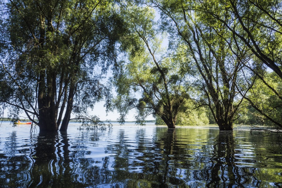 Lac D'orient_Troyes_outdoor