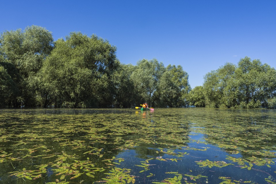 Lac D'orient_Troyes_outdoor