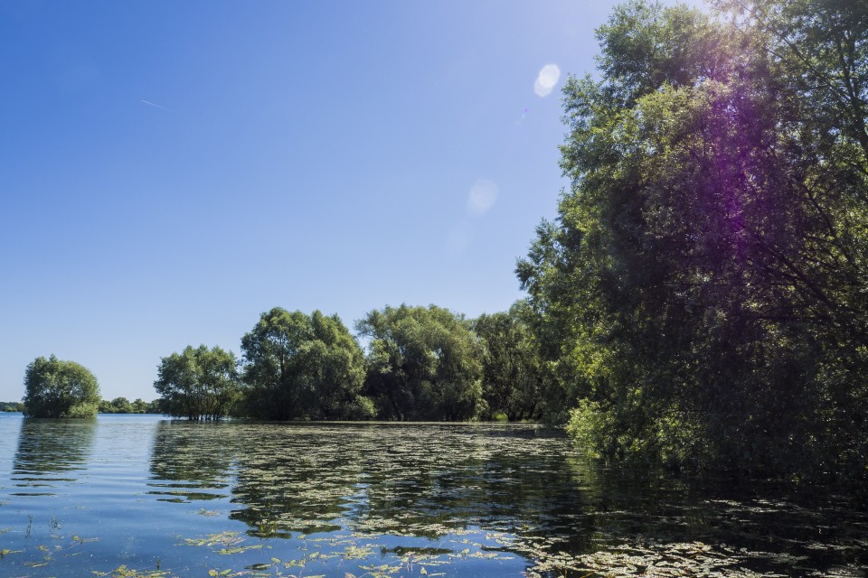 Lac D'orient_Troyes_outdoor