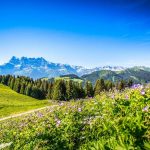 trail-running-portes-du-soleil