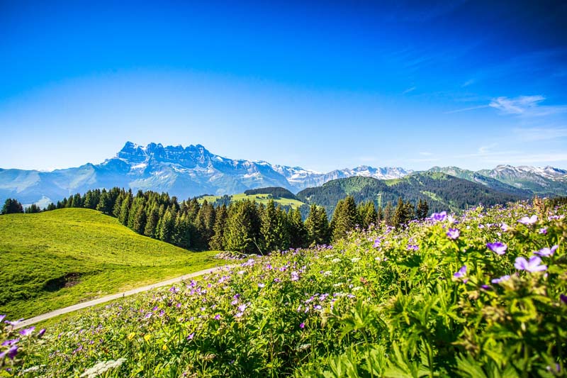 trail-running-portes-du-soleil