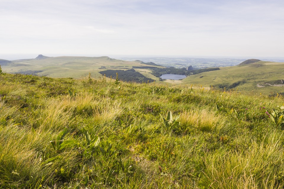 Auvergne_Puydesancy_montagne_paysages_161