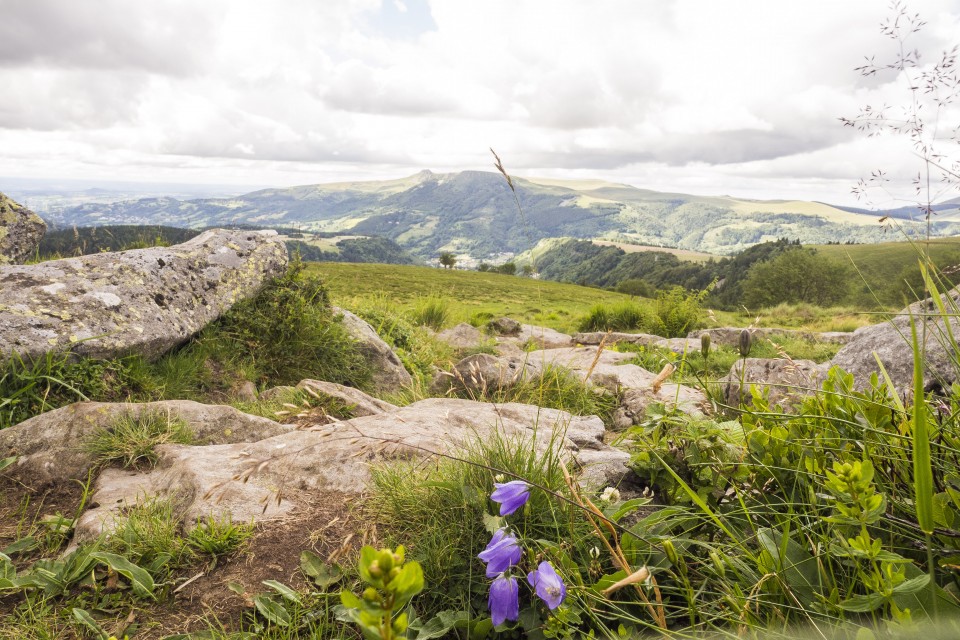 Auvergne_Puydesancy_montagne_paysages_223