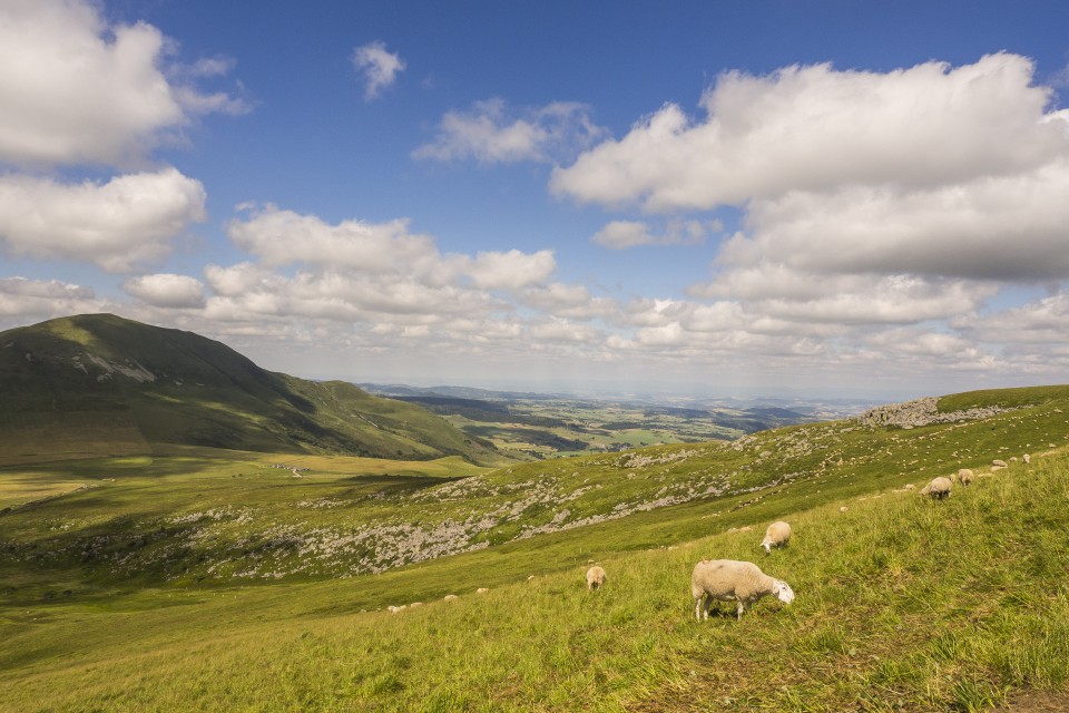 Auvergne_Puydesancy_montagne_paysages_29