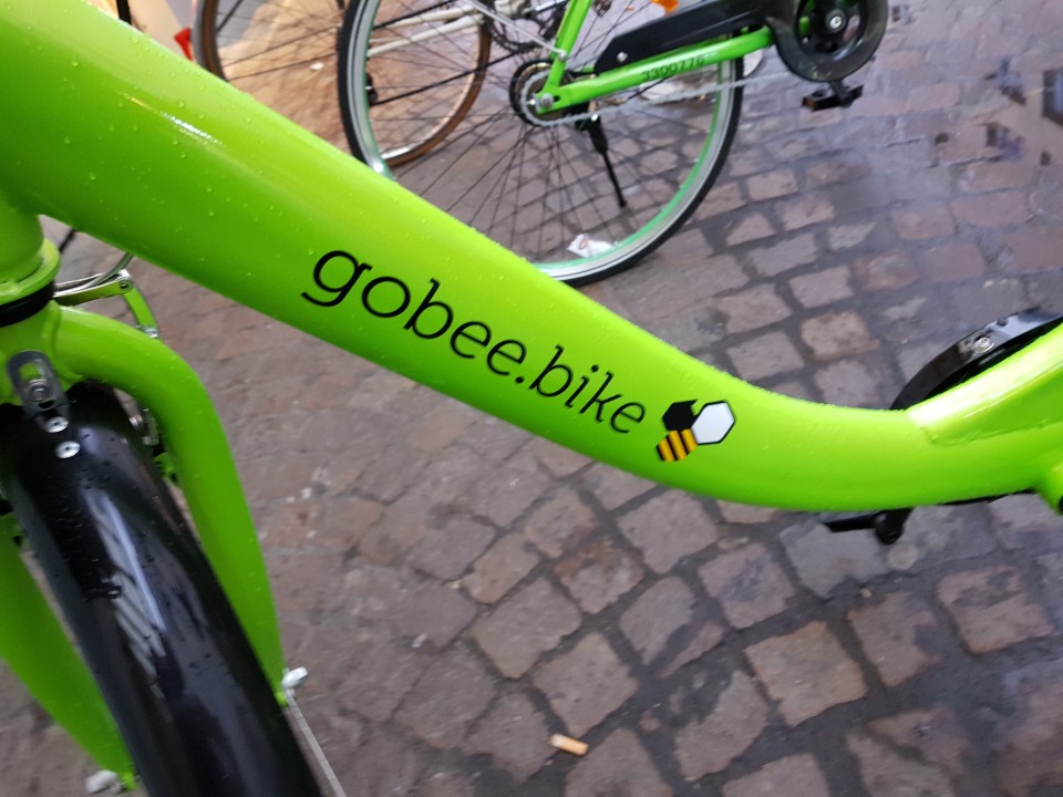 cadre globeebike