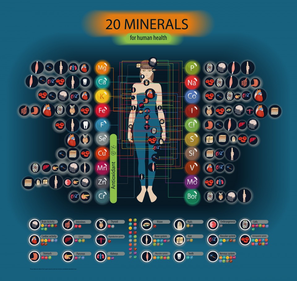vitamines et mineraux