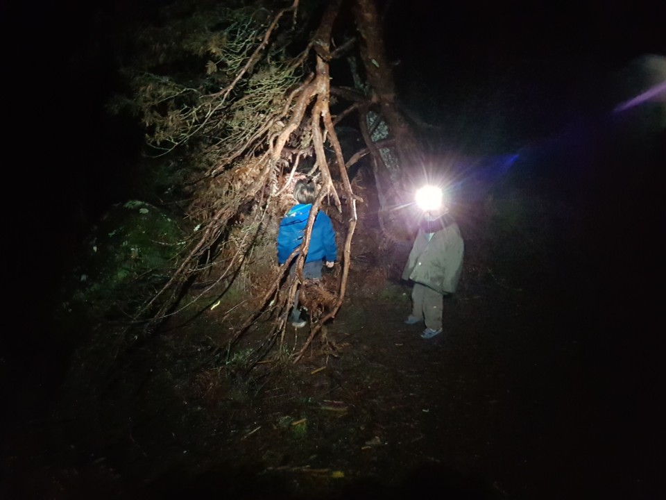 obstacles pour enfants en foret de fontainebleau