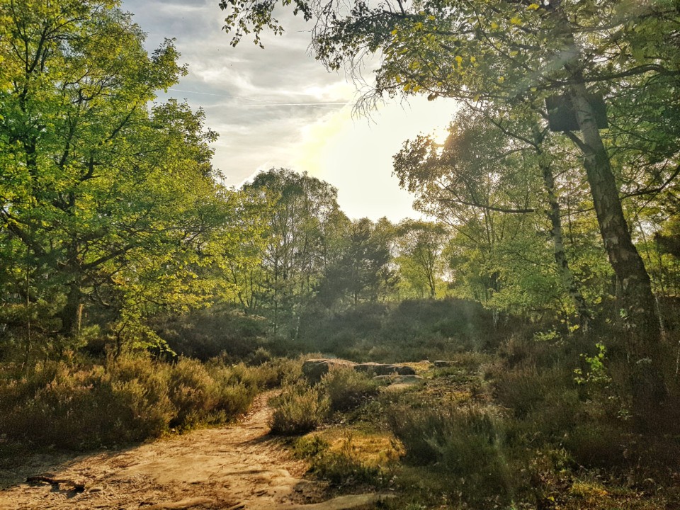 gorges d'apremont