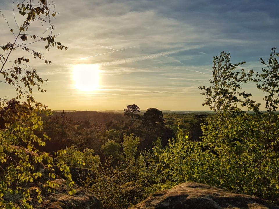 point de vue barbizon