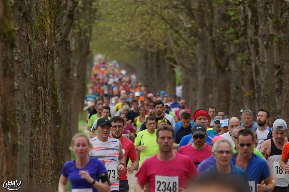 semi fontainebleau